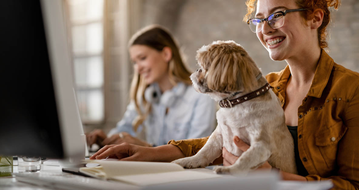 Pet-Friendly Workplaces Are On The Rise: Here's Where To Find Them