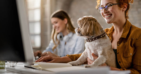 The Best Dog-Friendly Companies to Work For