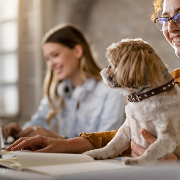 The Best Dog-Friendly Companies to Work For –