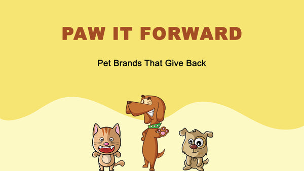 Pet Brands That Give Back to Animals in Need